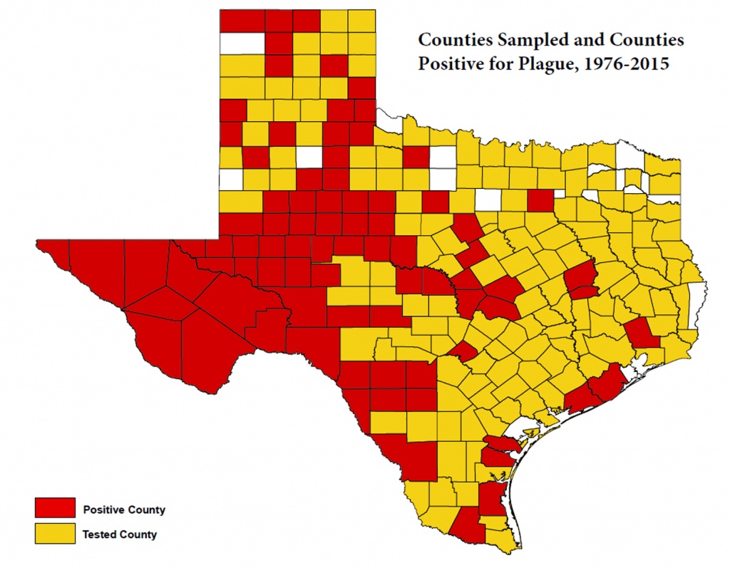 Texas Department Of State Health Services, Infectious Disease - Mountain Lions In Texas Map