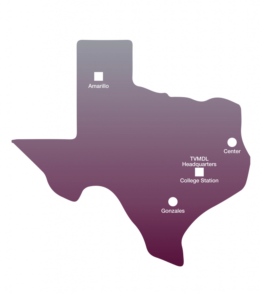 Texas Locations Map - Texas A&amp;amp;m Veterinary Medical Diagnostic Laboratory - Texas A&amp;amp;m Location Map