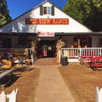 The Best Fall Treats And Activities In Apple Hill, California   A   Apple Hill Printable Map