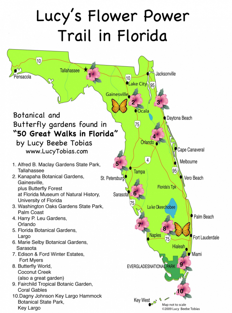 Us Geological Sinkhole Map Us Awesome United States Map Sinkholes - National Parks In Florida Map