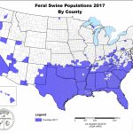 Usda Aphis | History Of Feral Swine In The Americas   Florida Wild Hog Population Map