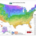 Usda Hardiness Zone Finder   Garden   Plant Zone Map Florida