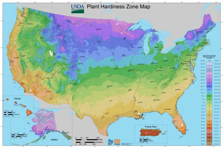 Texas Growing Zone Map