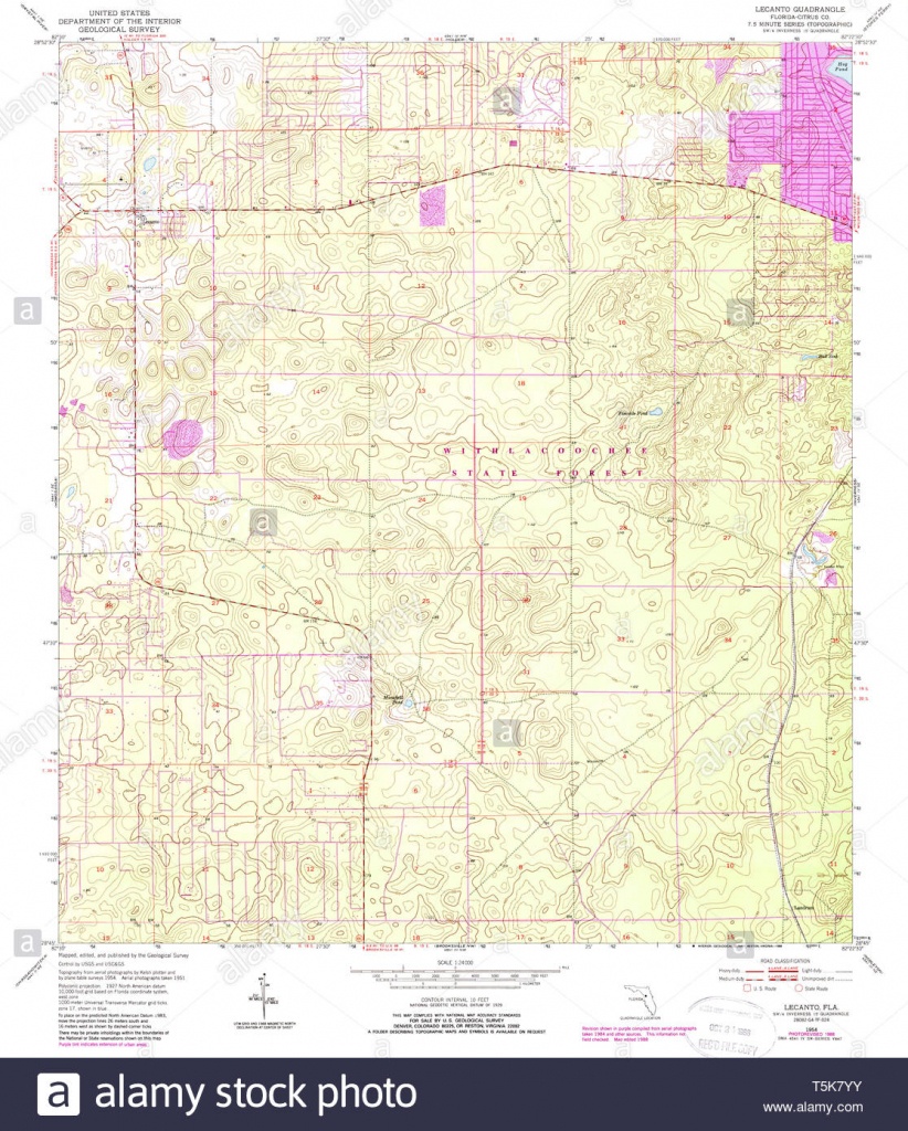 Usgs Topo Map Florida Fl Lecanto 347200 1954 24000 Restoration Stock - Lecanto Florida Map