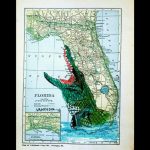 Vintage Florida Map Alligator Wildlife Coastal Gator Art Print Scott D Van  Osdol 11X17 Poster Of My Original Ocean Sea Everglades Reptile   Alligators In Florida Map