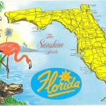 Vintage Florida Postcard   Detailed Map Sunshine State Parrot   Alligators In Florida Map
