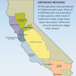 Visit A Member   California Olive Oil Council   California Valley Map
