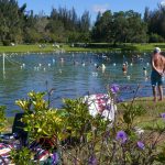 Warm Mineral Springs In North Port, An Adventure In History And   Warm Mineral Springs Florida Map