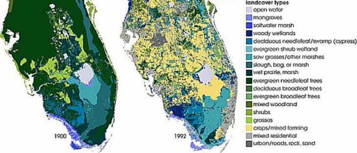 Florida Wetlands Map