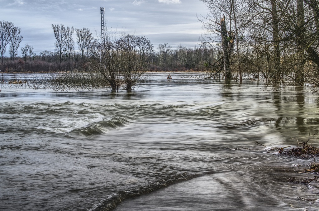 What Is A Flood Zone, And Are You In One? | Shaefer Insurance Agency - Venice Florida Flood Map