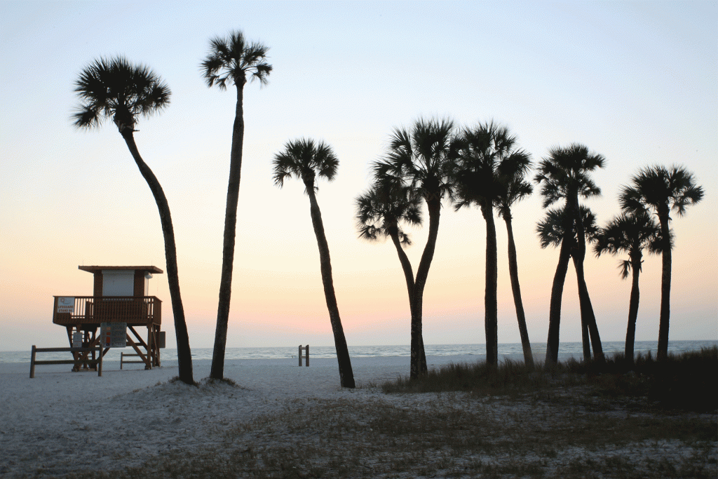 What To Know About Necrotizing Fasciitis On Florida Beaches - Florida Beach Bacteria Map 2018