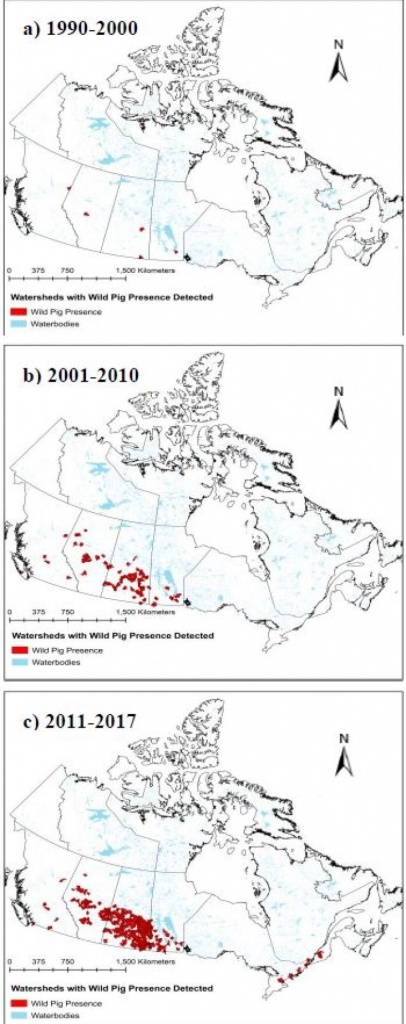 Wild Pigs Causing &amp;#039;ecological Disaster&amp;#039; As They Spread Rapidly - Wild Hogs California Map