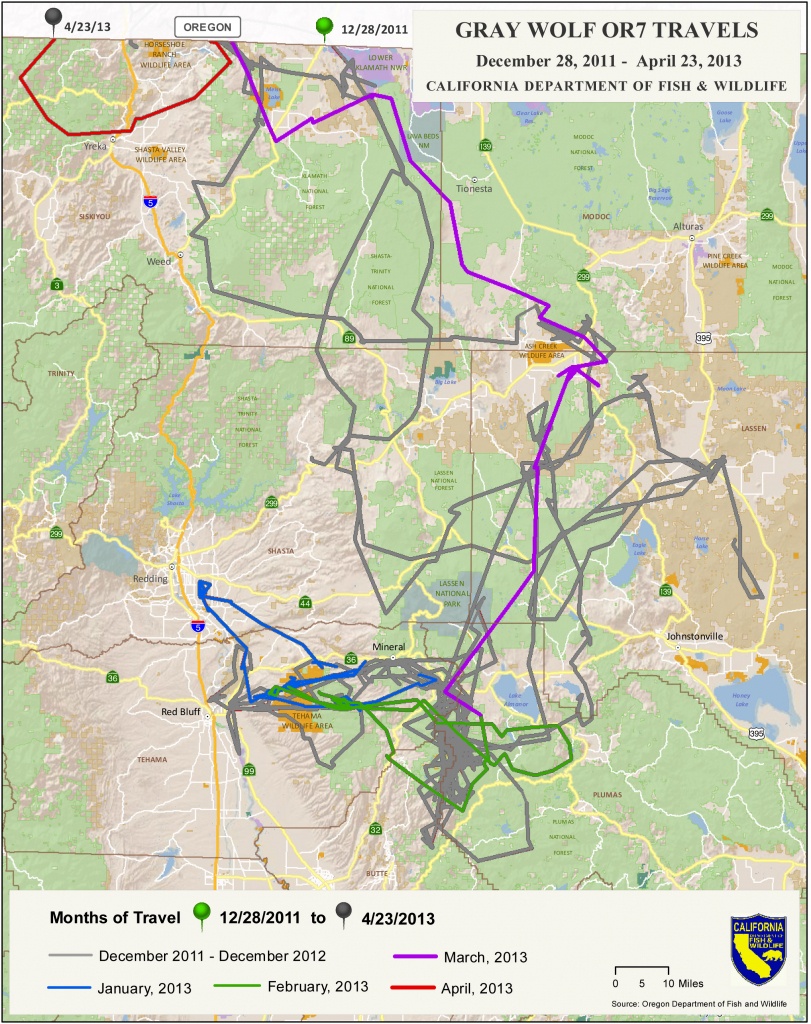 Wolves In California? | Wolves In California - Wolves In California Map